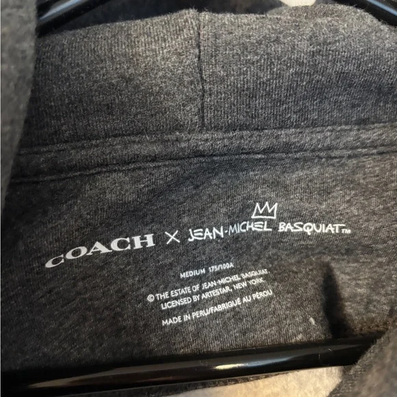 Coach Rexy Gray Hoodie with Colorful Dinosaur! 🦖 Medium - Picture 4 of 7